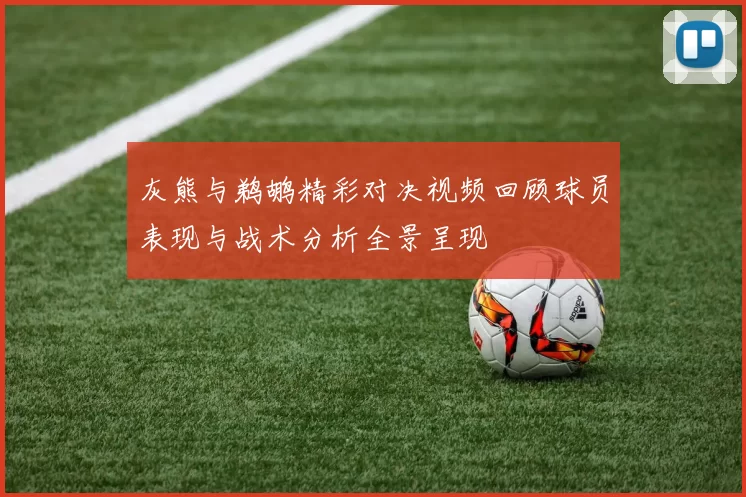 灰熊与鹈鹕精彩对决视频回顾球员表现与战术分析全景呈现